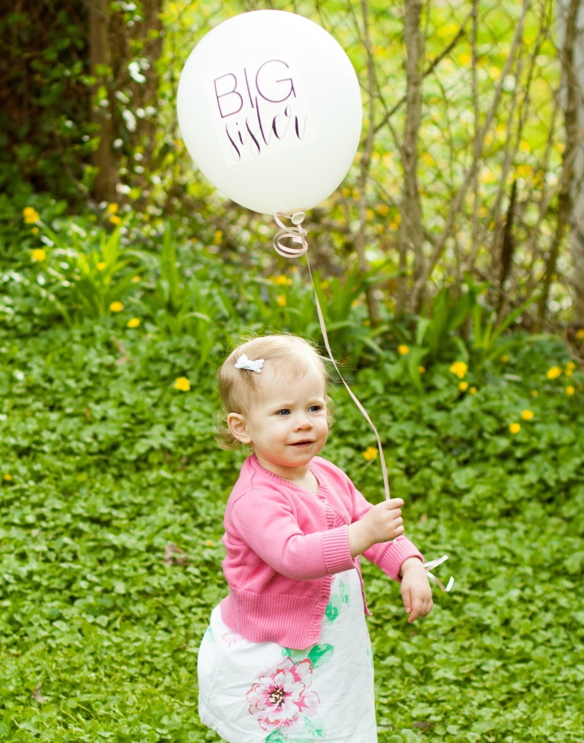 baby 2 announcement big sister