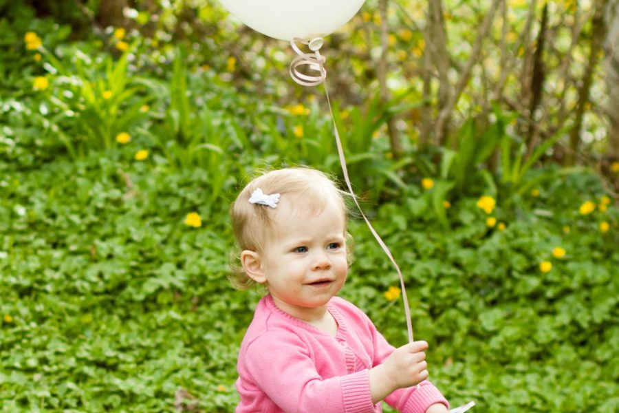 baby 2 announcement big sister