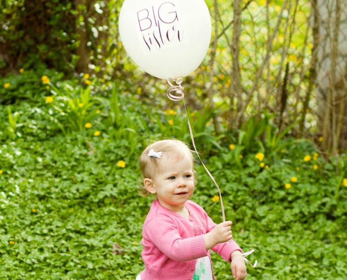 baby 2 announcement big sister